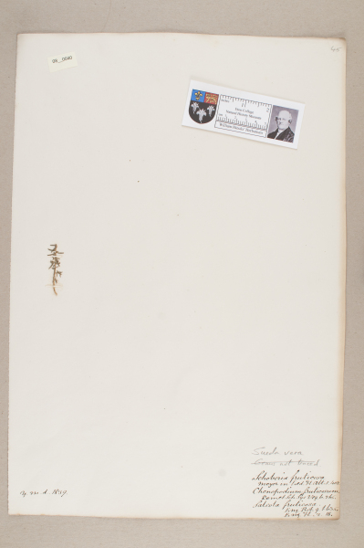 NHM_HH_8.40-2010 image NHM_HH_8.40-2010