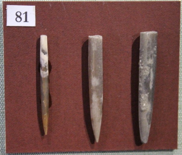 NHM.542-2017 image NHM.542-2017