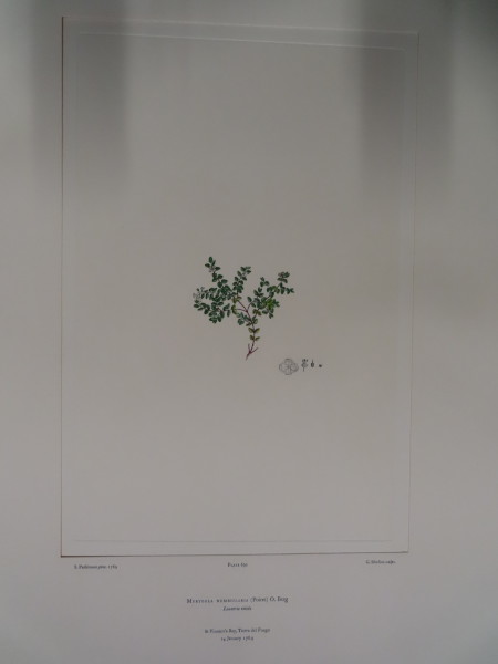 image FDA-E.2916_32_22-2016