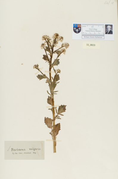 NHM_HH_11.23-2010 image NHM_HH_11.23-2010