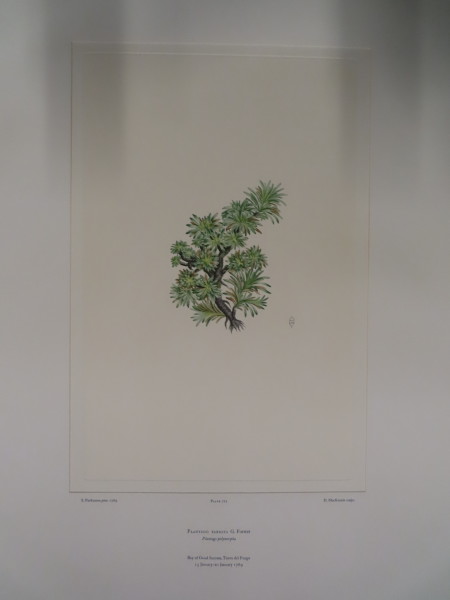 image FDA-E.2916_34_9-2016-A