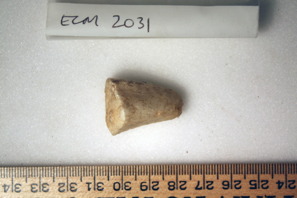 ECM.2031-2010-B image ECM.2031-2010-B