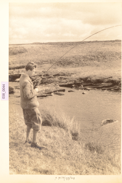 PA-A.38_44-2012 image PA-A.38_44-2012