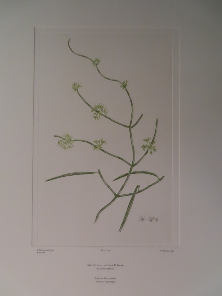 image FDA-E.2916_10_10-2016