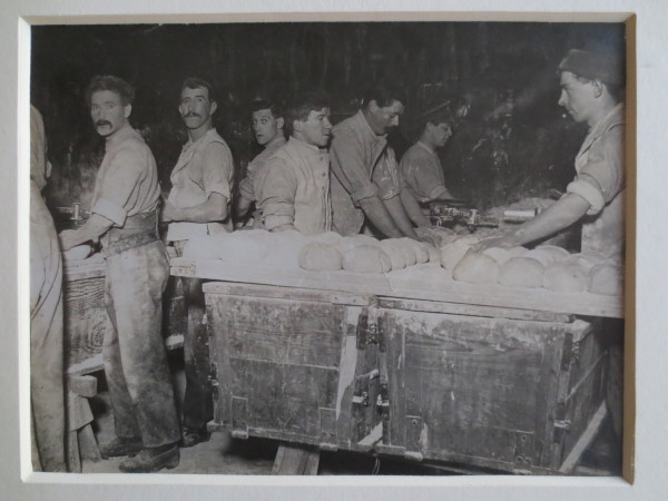 ECL-O.104-2014 image ECL-O.104-2014