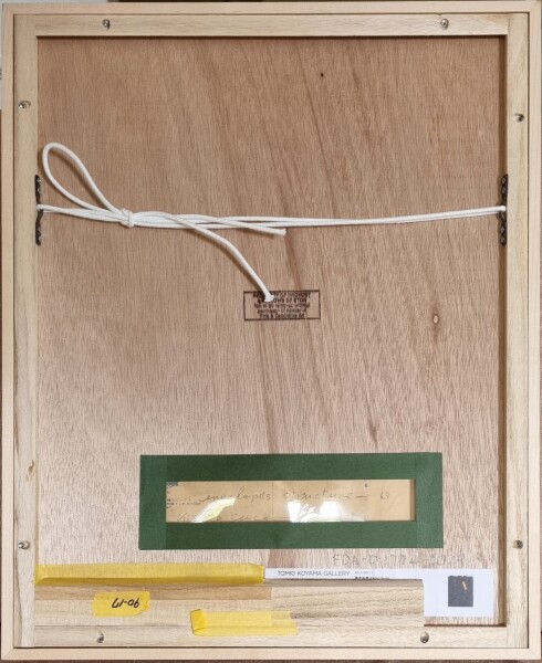 image FDA-D.1774-2024-A