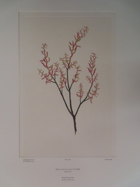 FDA-E.2916_12_16-2016-A image FDA-E.2916_12_16-2016-A