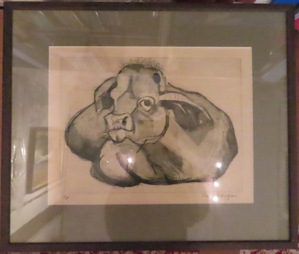 FDA-E.3219-2023 image FDA-E.3219-2023