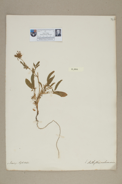 NHM_HH_15.11-2010 image NHM_HH_15.11-2010