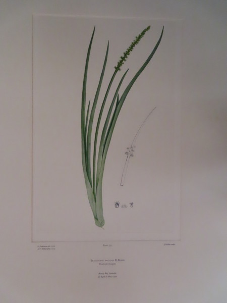 FDA-E.2916_15_23-2016 image FDA-E.2916_15_23-2016