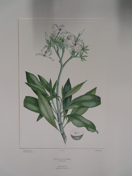 FDA-E.2916_17_14-2016-A image FDA-E.2916_17_14-2016-A