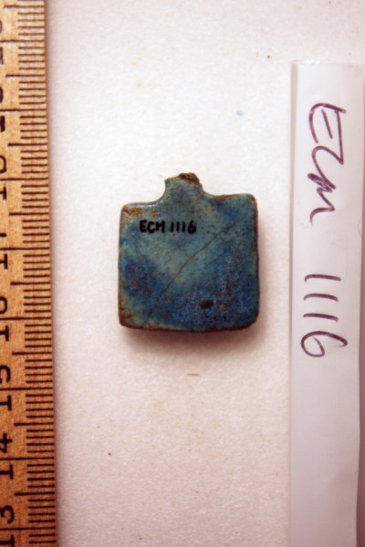 ECM.1116-2010-B image ECM.1116-2010-B