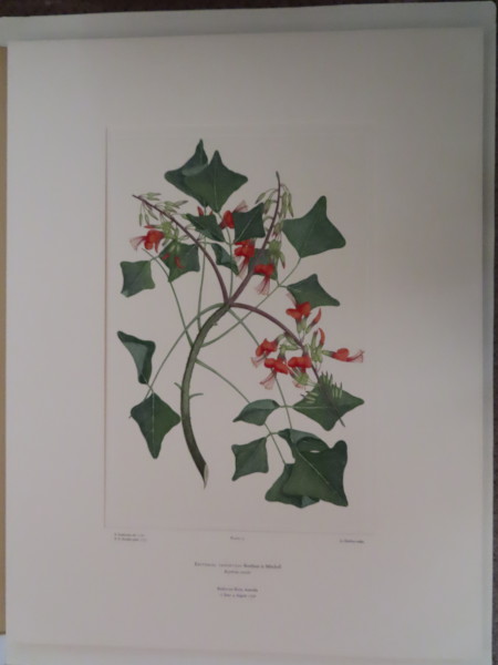 image FDA-E.2916_4_11-2016