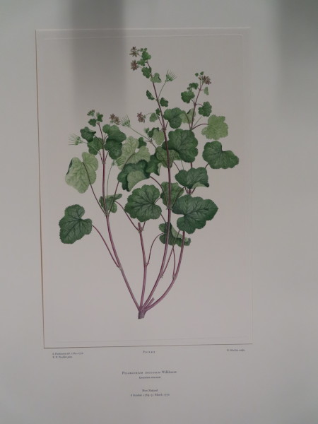 image FDA-E.2916_20_25-2016-A