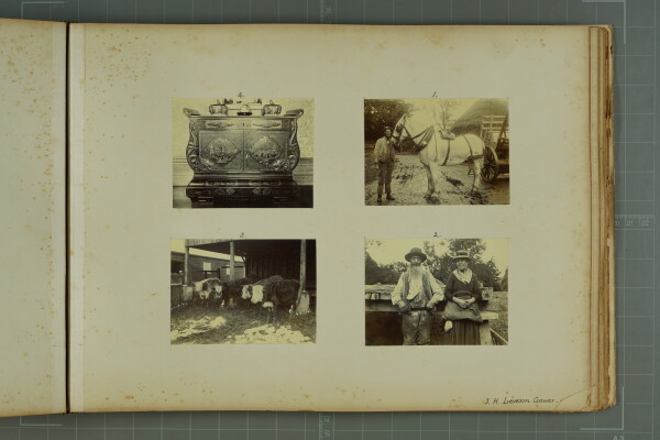 PA-A.81_50-2024 image PA-A.81_50-2024