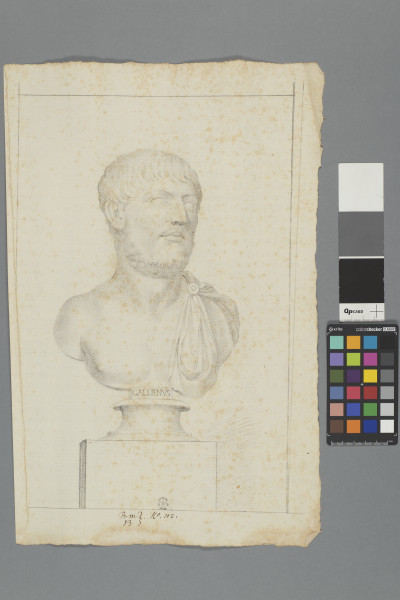 ECL-Bm.13_102-2013-A image ECL-Bm.13_102-2013-A