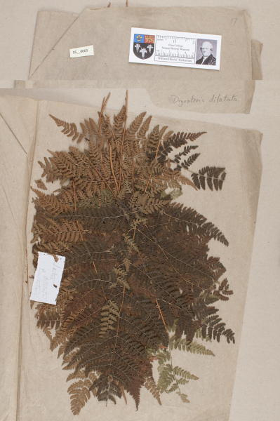 image NHM_HH_5.65-2010