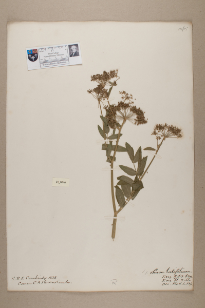 NHM_HH_21.40-2010 image NHM_HH_21.40-2010