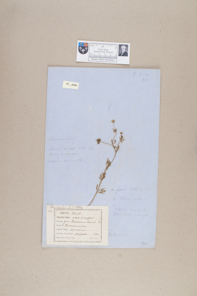 NHM_HH_7.40-2010 image NHM_HH_7.40-2010