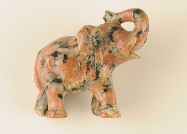 NHM-EE.96-2015 image NHM-EE.96-2015