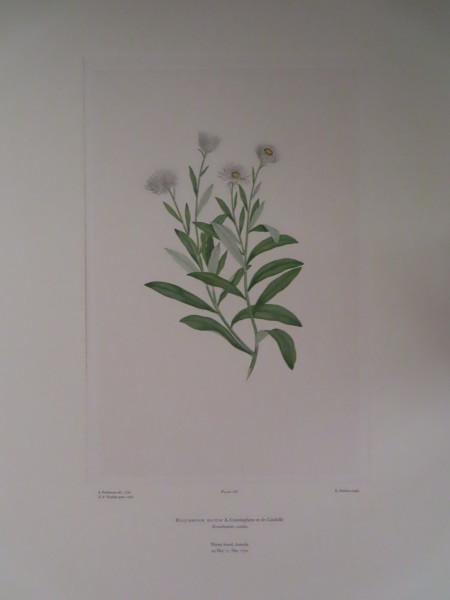 image FDA-E.2916_8_14-2016