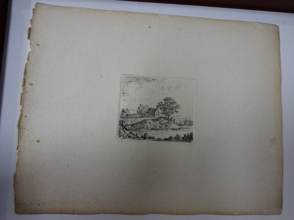 FDA-E.2336-2015 image FDA-E.2336-2015