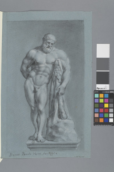 ECL-Bm.7_8-2012-A image ECL-Bm.7_8-2012-A