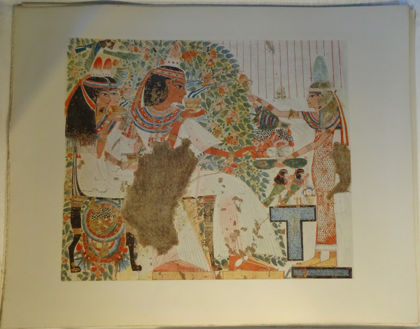 FDA-E.3055_42-2018 image FDA-E.3055_42-2018