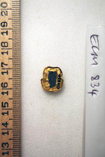 ECM.834-2010-B image ECM.834-2010-B