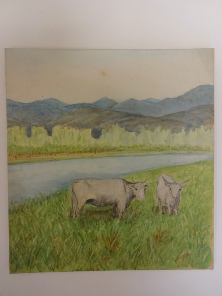 FDA-D.1246-2015 image FDA-D.1246-2015