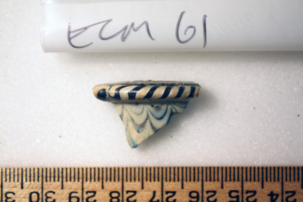 ECM.61-2010-A image ECM.61-2010-A