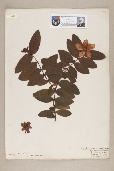 NHM_HH_10.6-2010 image NHM_HH_10.6-2010