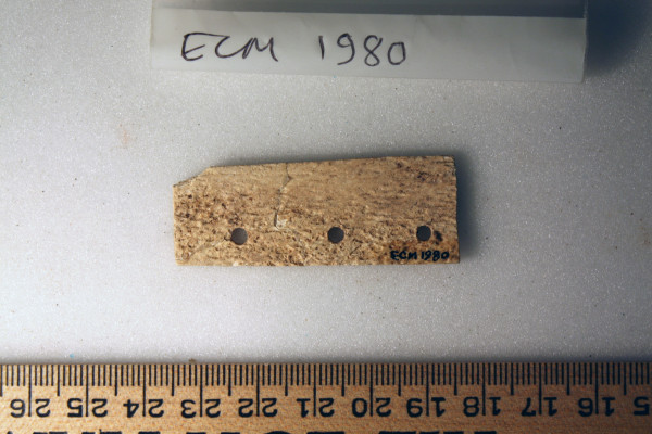 ECM.1980-2010-B image ECM.1980-2010-B