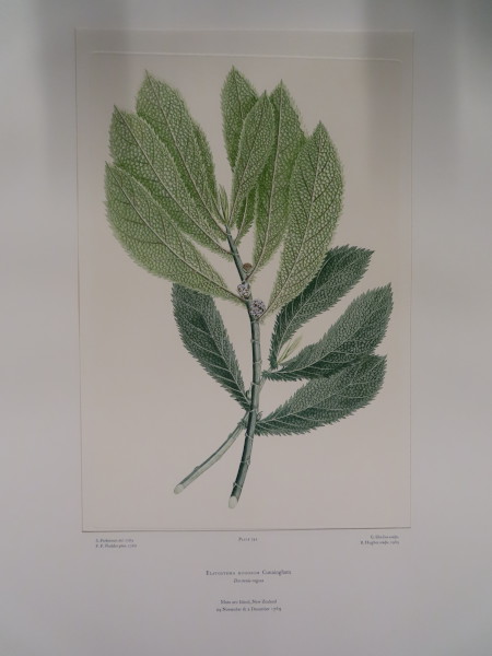 image FDA-E.2916_35_7-2016-A