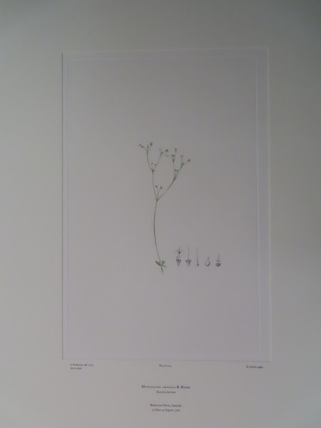 image FDA-E.2916_10_15-2016