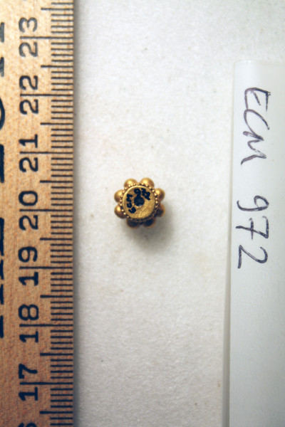 ECM.972-2010-B image ECM.972-2010-B