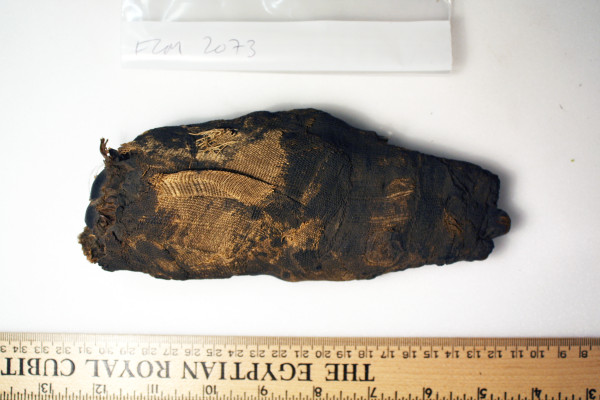 ECM.2073-2010-A image ECM.2073-2010-A