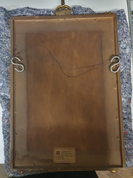 FDA-E.3223-2023-C image FDA-E.3223-2023-C