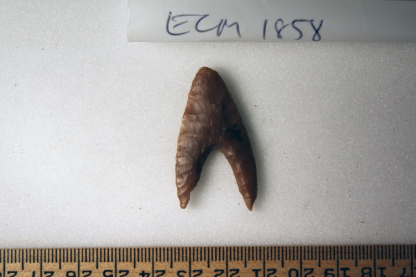 ECM.1858-2010-A image ECM.1858-2010-A