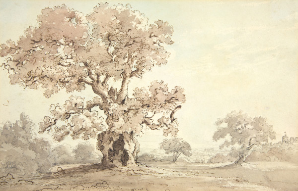 image FDA-D.1545-2016