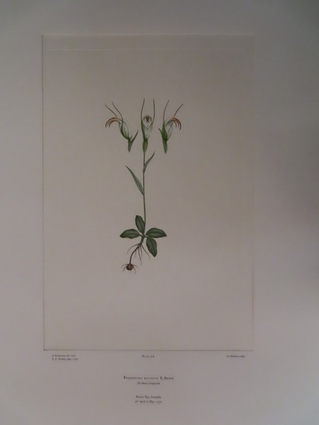 FDA-E.2916_15_6-2016 image FDA-E.2916_15_6-2016