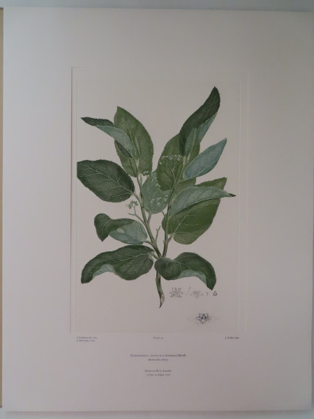 FDA-E.2916_2_6-2016-A image FDA-E.2916_2_6-2016-A