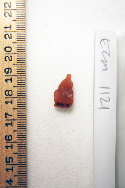 ECM.1121-2010-B image ECM.1121-2010-B