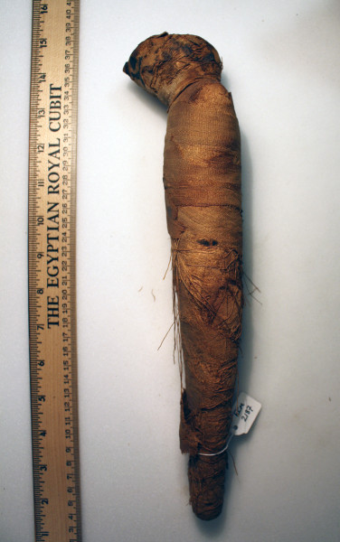 ECM.2187-2010-B image ECM.2187-2010-B