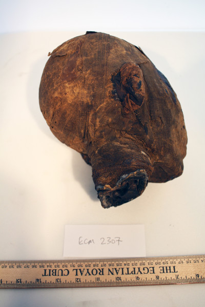 ECM.2307-2017-D image ECM.2307-2017-D