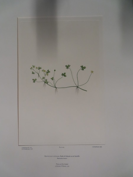 FDA-E.2916_20_7-2016 image FDA-E.2916_20_7-2016