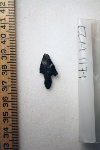 ECM.1171-2010-B image ECM.1171-2010-B