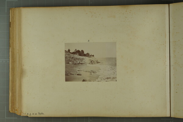 PA-A.81_60-2024 image PA-A.81_60-2024