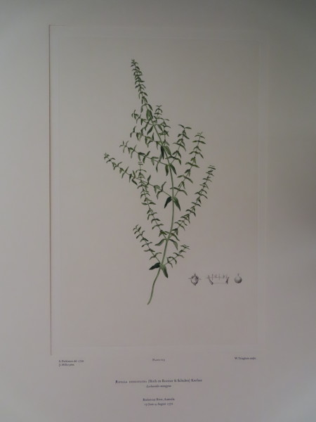 image FDA-E.2916_6_20-2016-A