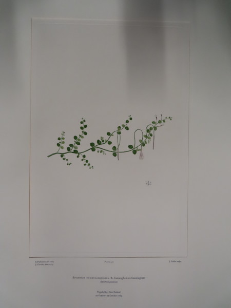 FDA-E.2916_22_8-2016 image FDA-E.2916_22_8-2016